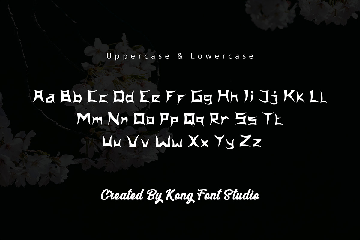 Japanola Asian Arabic Font - Image 9