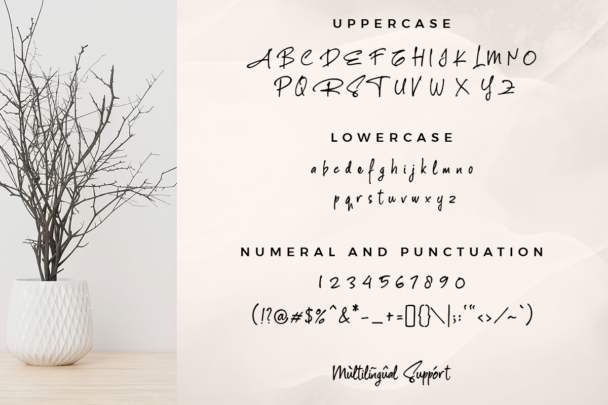 The Rambler - Image 9