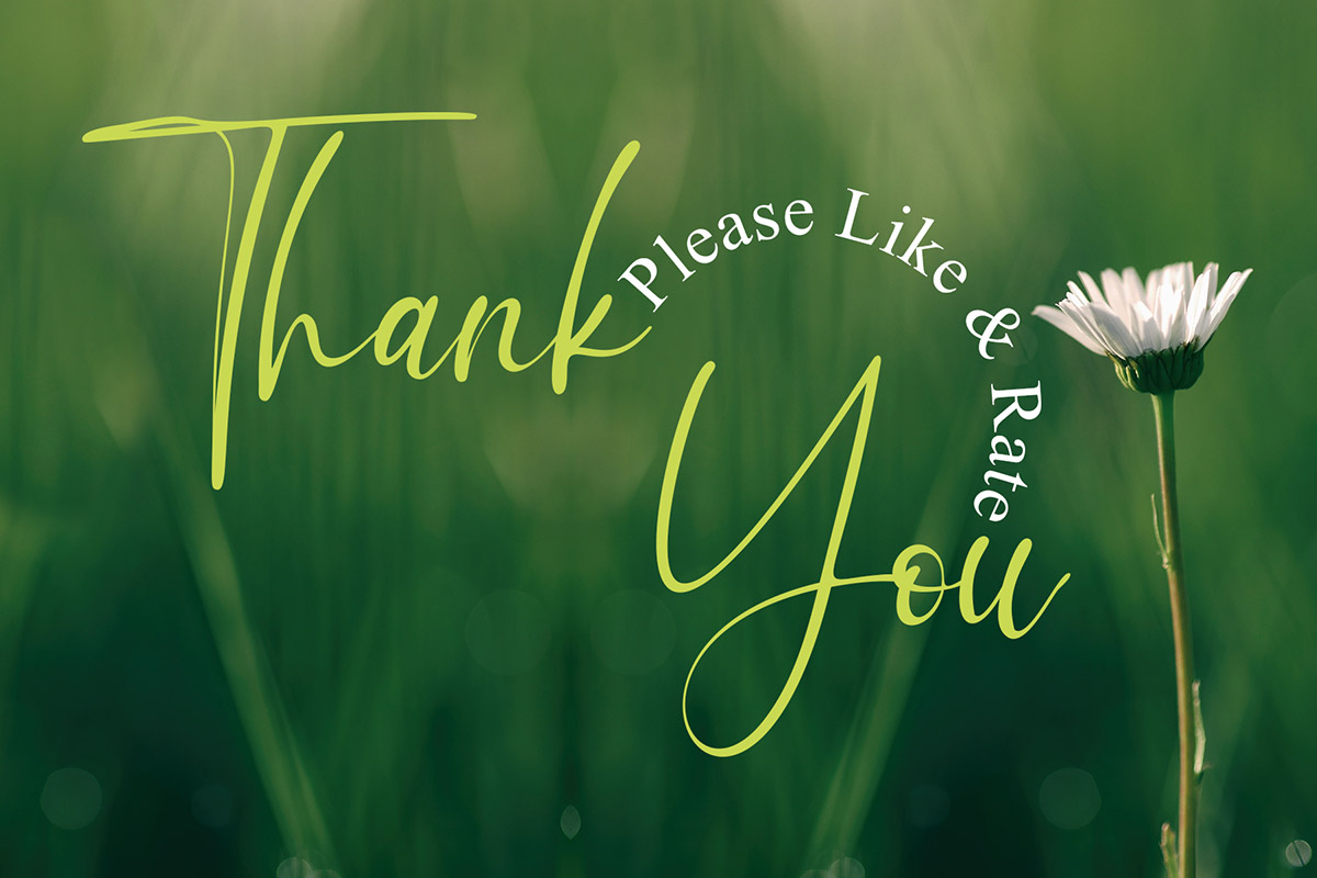 Green Poppy - Image 11
