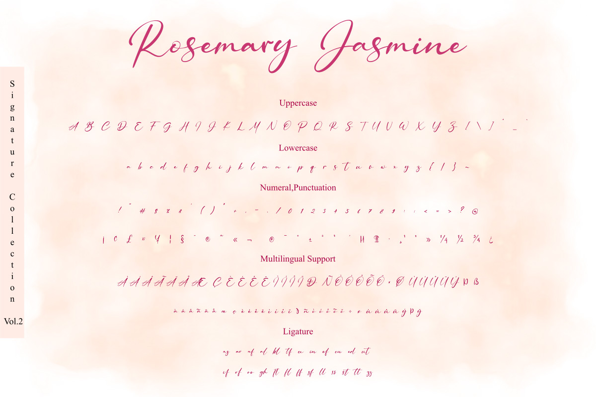 Rosemary Jasmine - Image 7