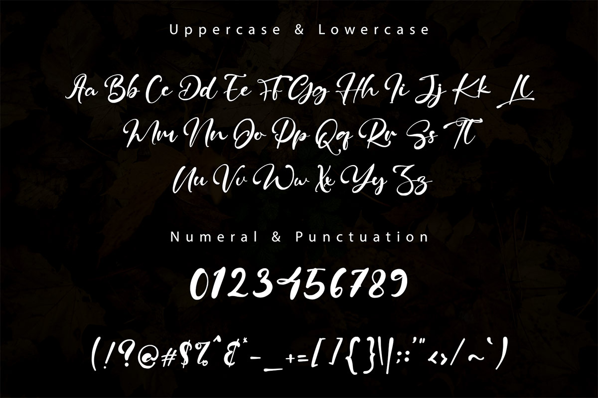 Maystone Modern Handwritten Font - Image 9