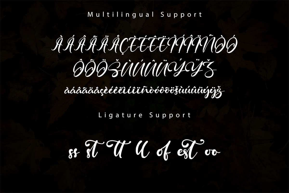 Maystone Modern Handwritten Font - Image 10