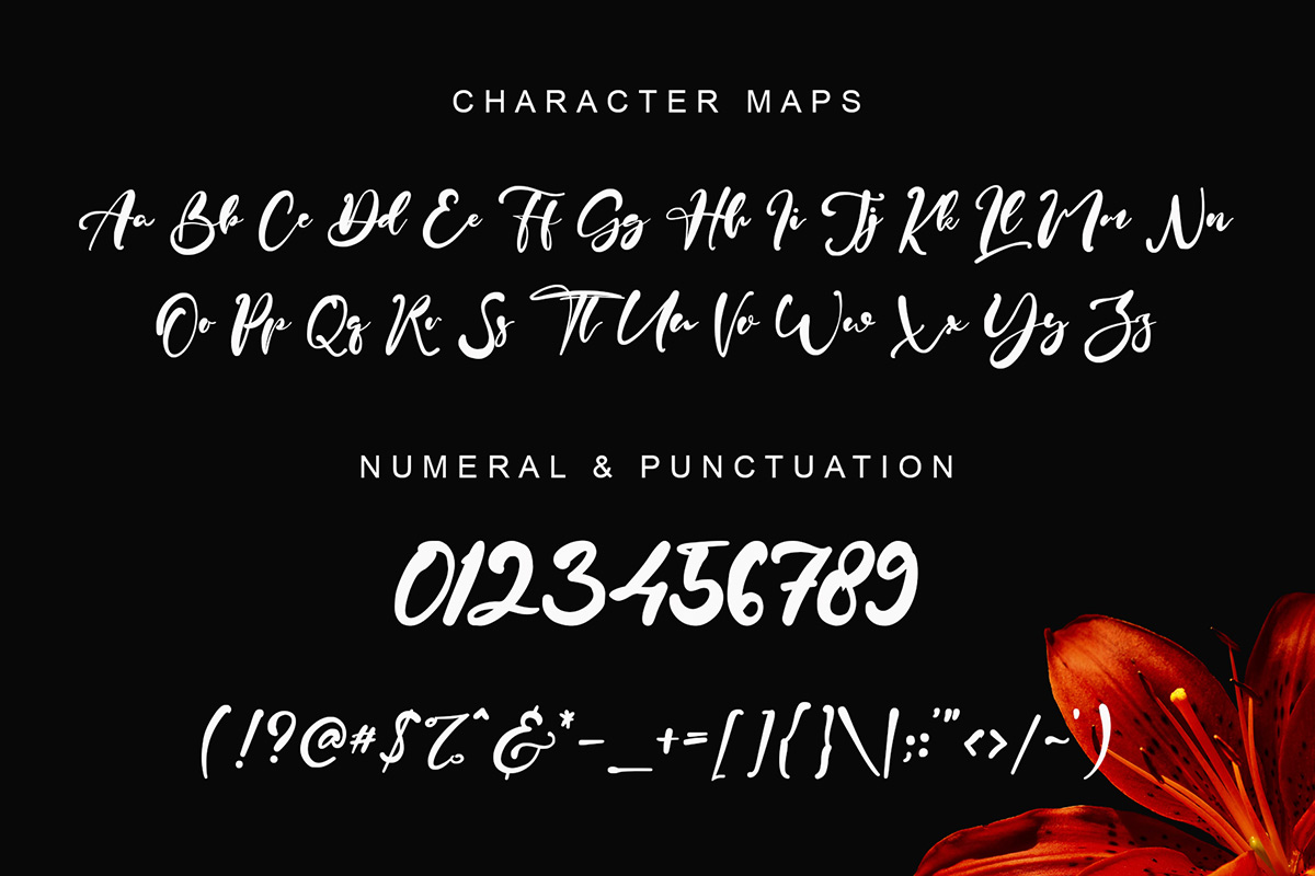 Olivia Audrey Quirky Font - Image 9