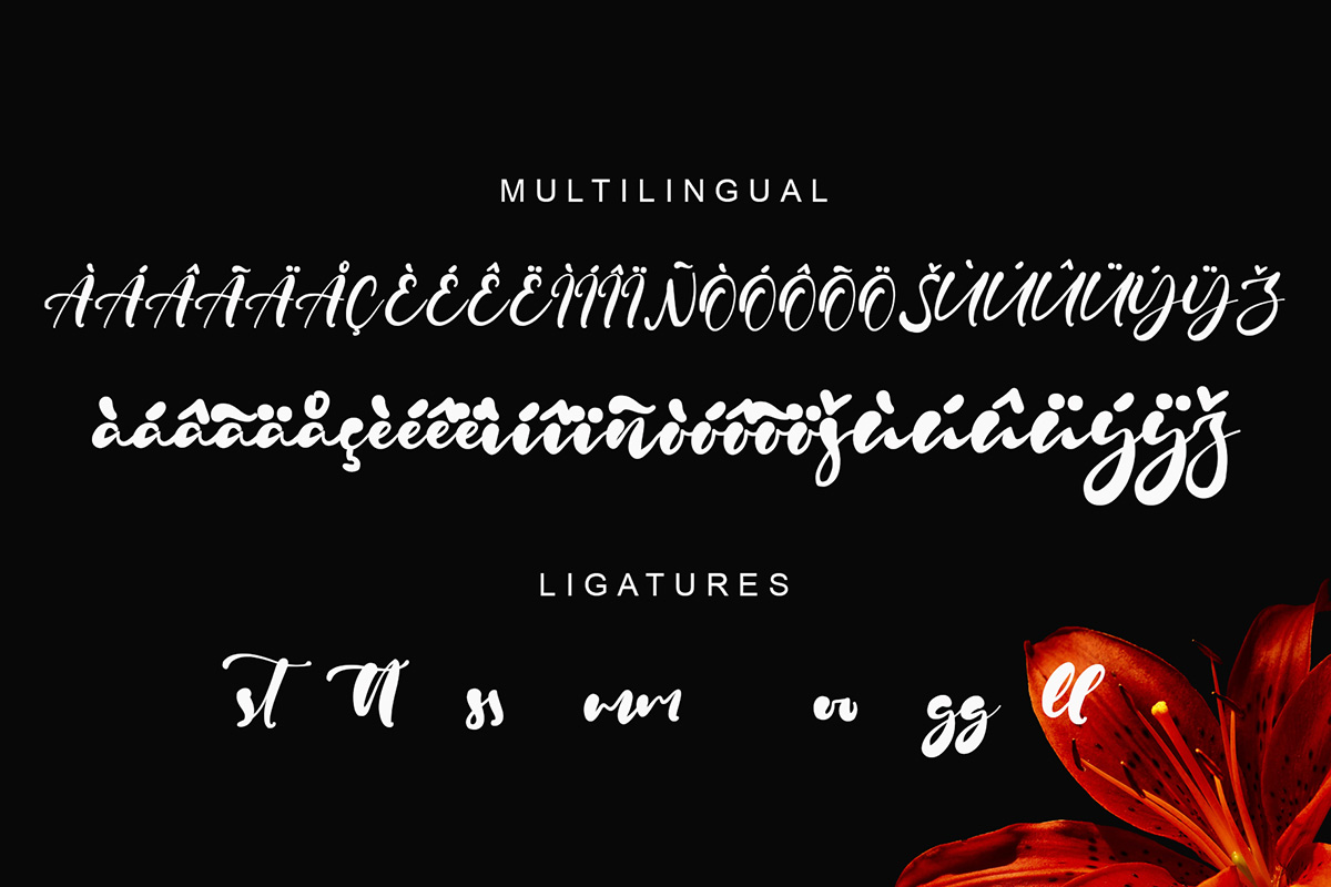 Olivia Audrey Quirky Font - Image 10