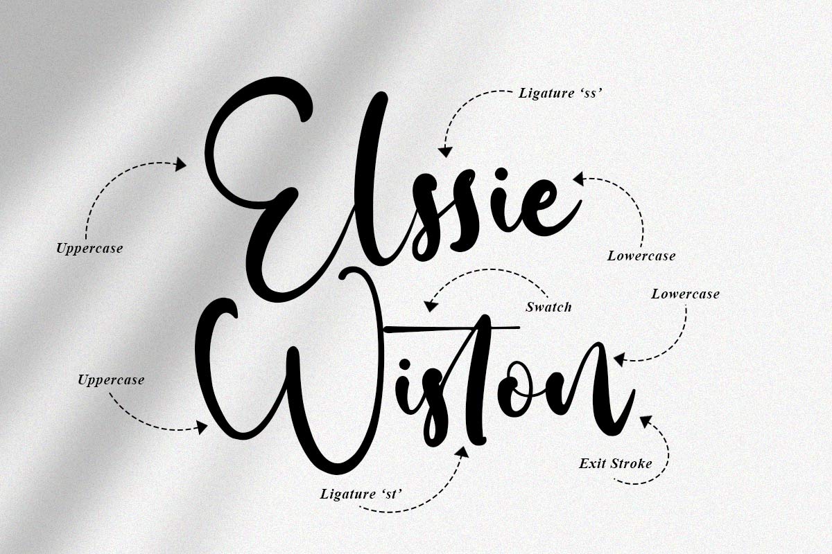 Adelle Script Font - Image 3