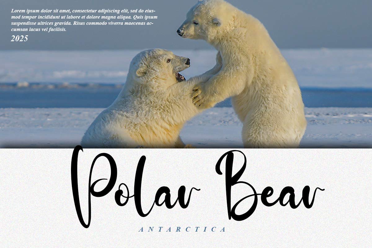 Adelle Script Font - Image 5