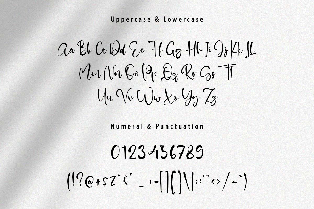 Adelle Script Font - Image 9