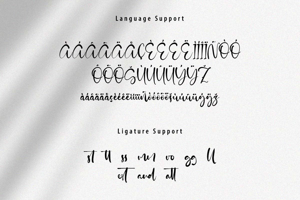 Adelle Script Font - Image 10