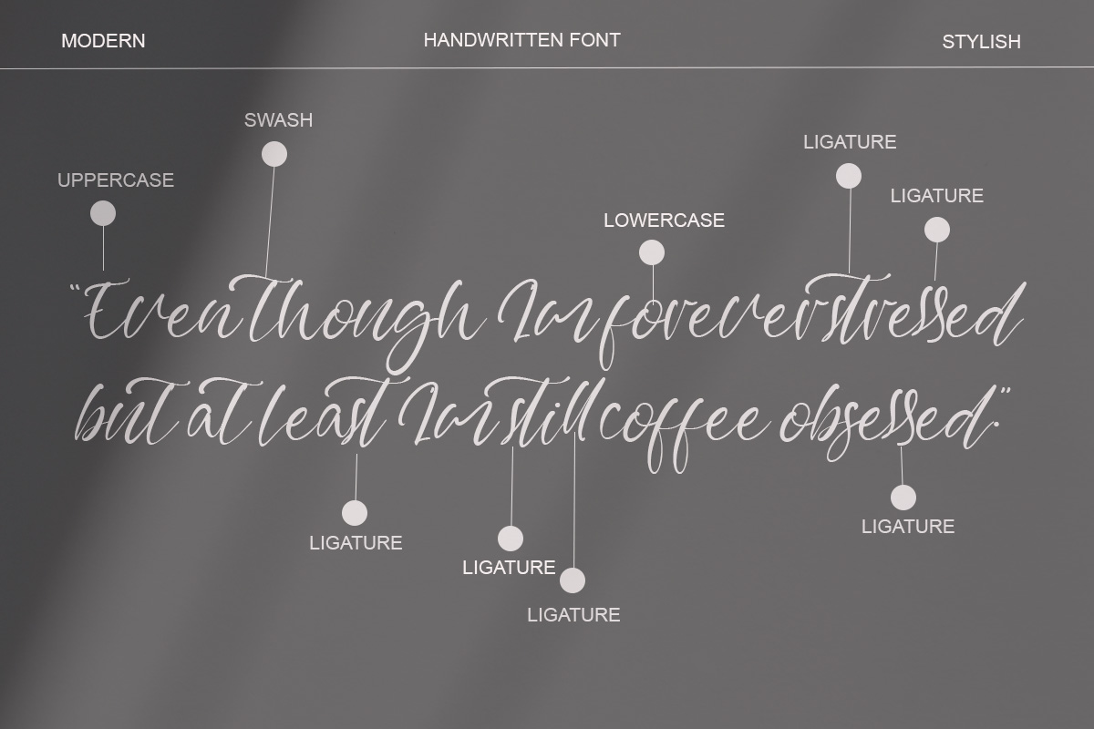 Capture Moment Calligraphy Font - Image 3