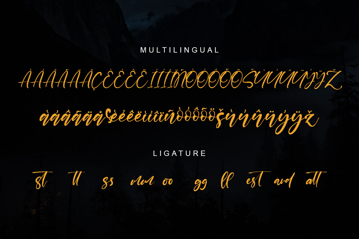 Fantasia A Modern Script Font - Image 10