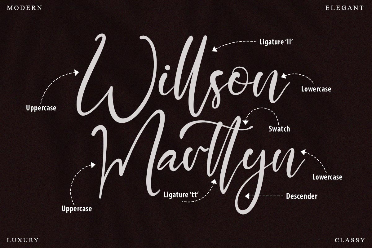 Paradise Script Font - Image 3