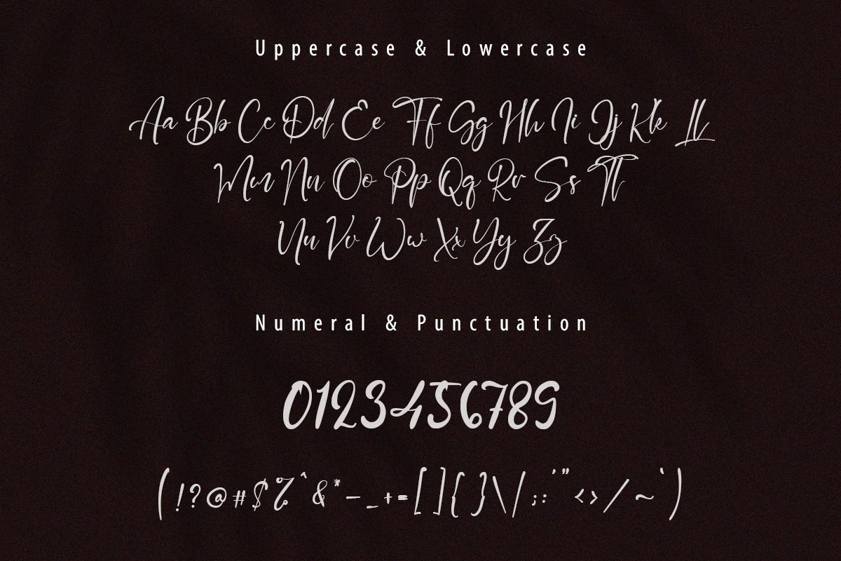 Paradise Script Font - Image 9
