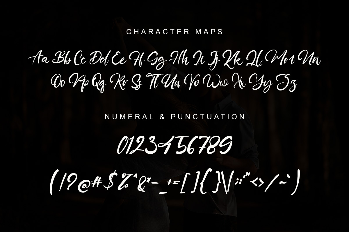 Prince Danice Modern Script Font - Image 9