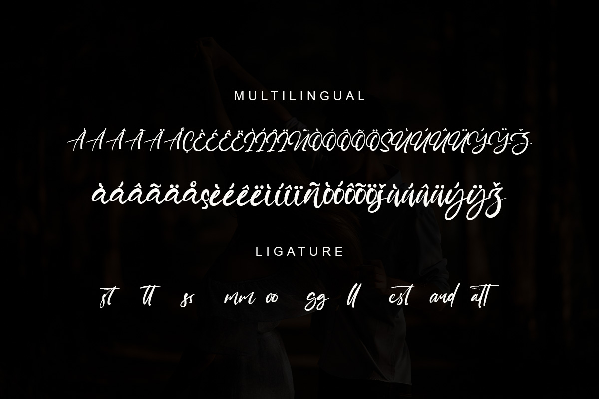 Prince Danice Modern Script Font - Image 10