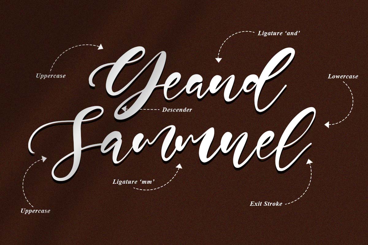 Andrew Script Handwritten font - Image 3