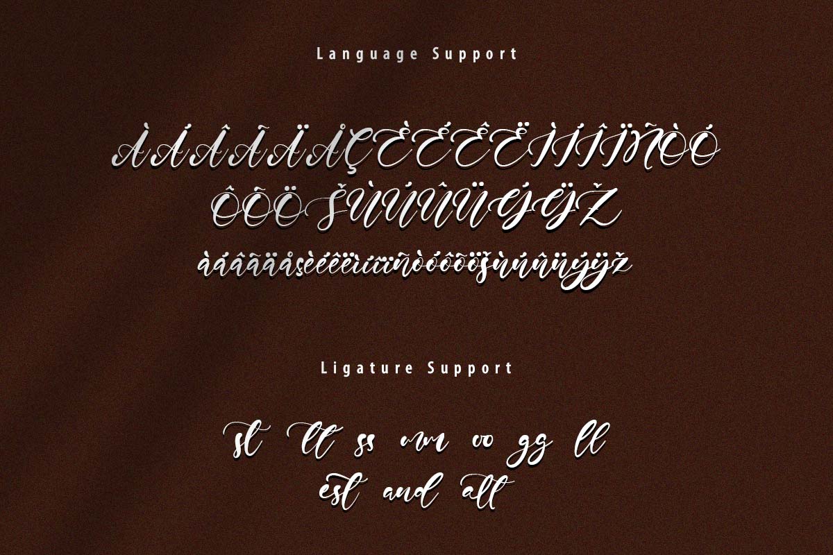 Andrew Script Handwritten font - Image 10