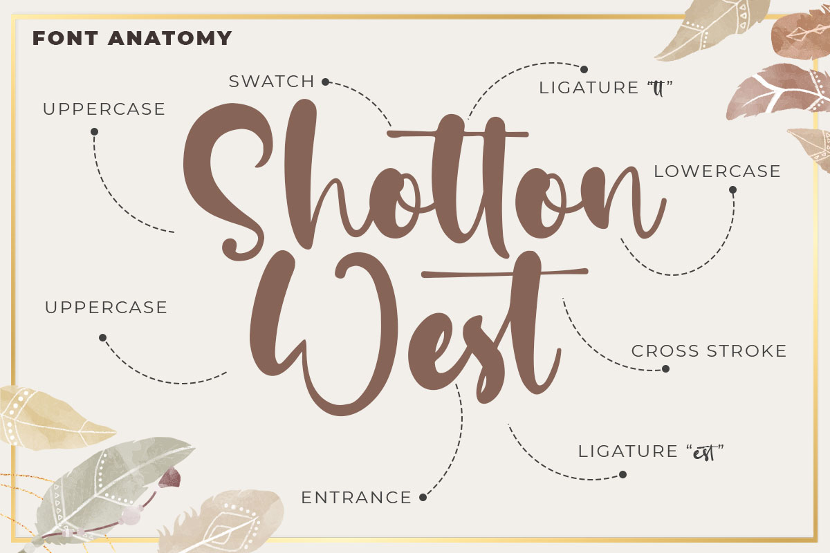 Asifa Carol Modern Script Font - Image 3