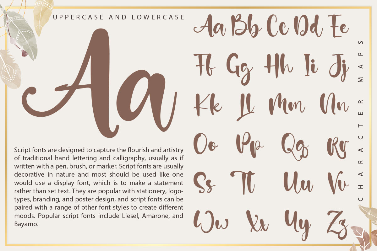 Asifa Carol Modern Script Font - Image 9