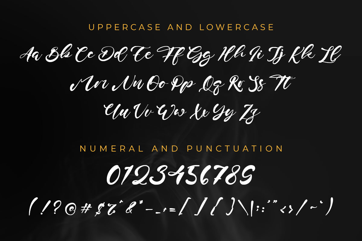 Brian Conor Script Font - Image 9