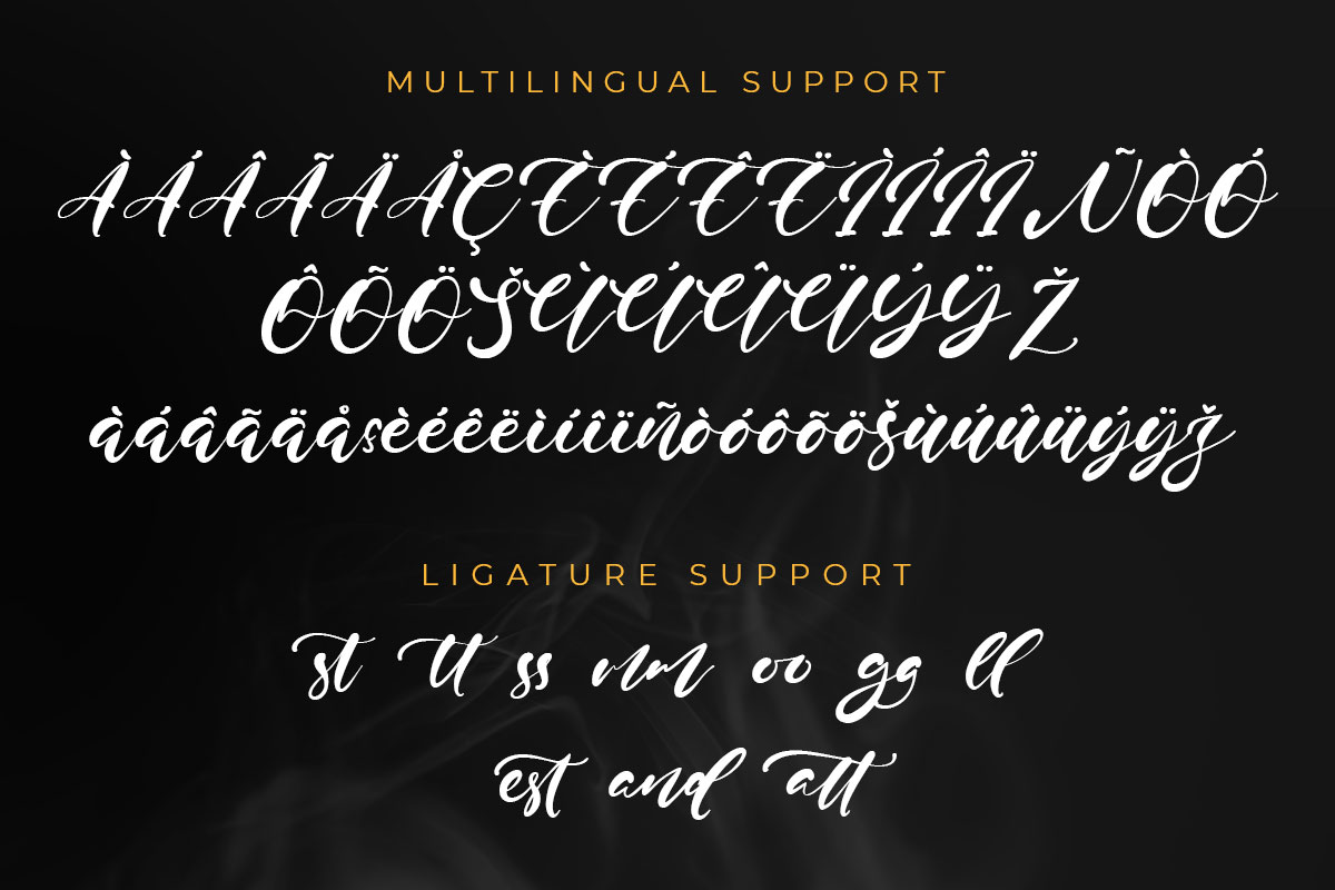 Brian Conor Script Font - Image 10