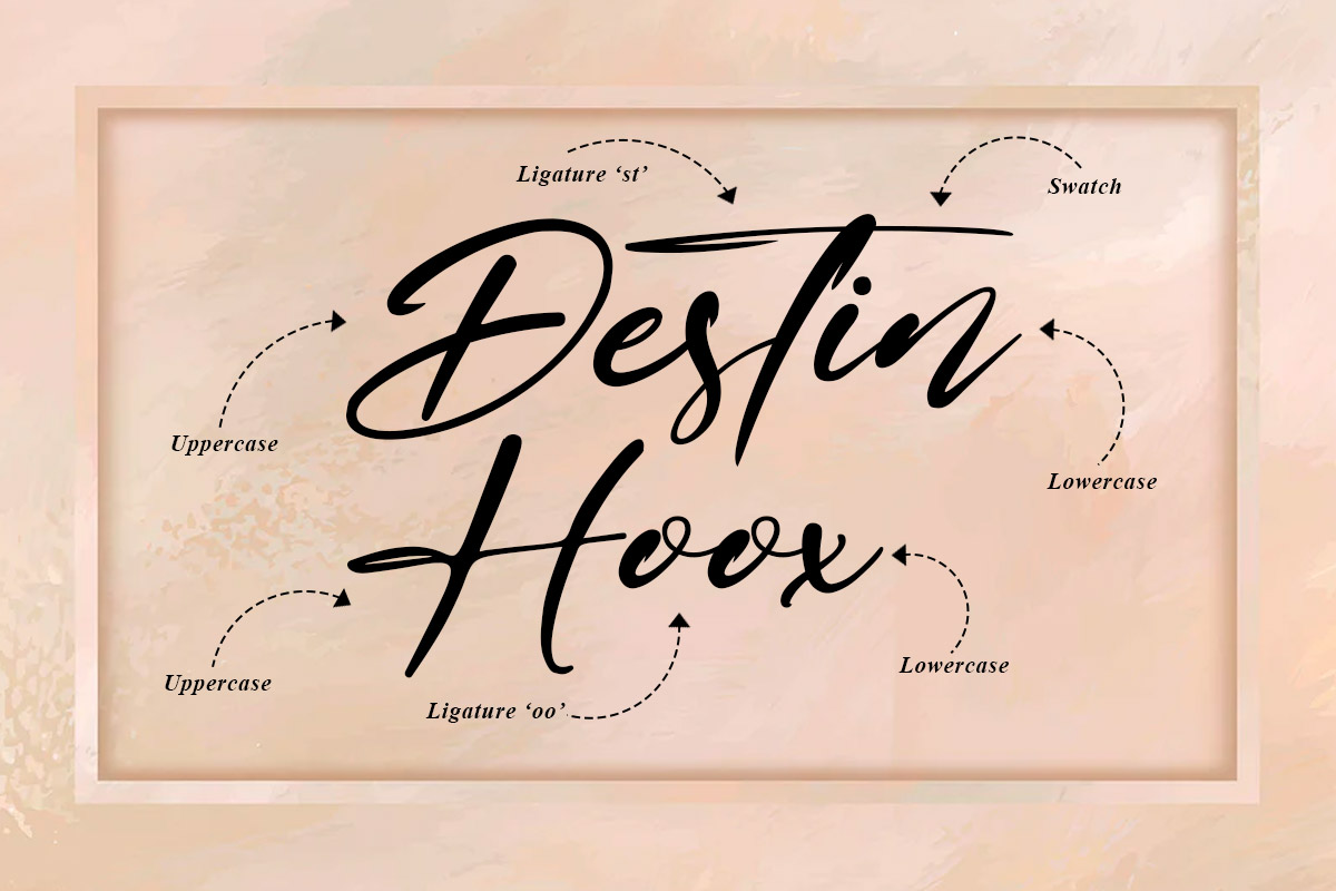 Brian Raja Classy Script Font - Image 3