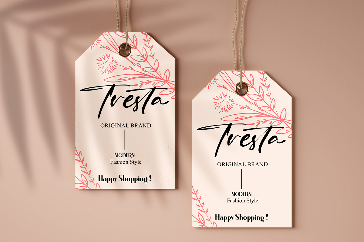 Brian Raja Classy Script Font - Image 7