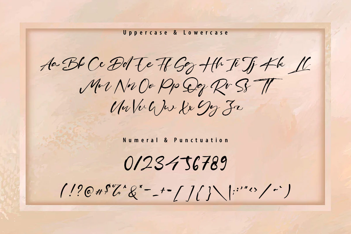 Brian Raja Classy Script Font - Image 9