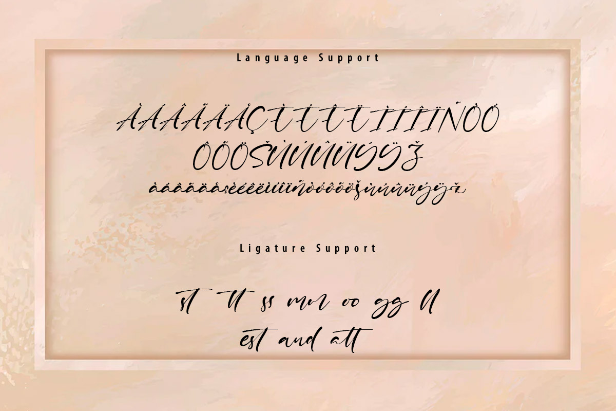 Brian Raja Classy Script Font - Image 10