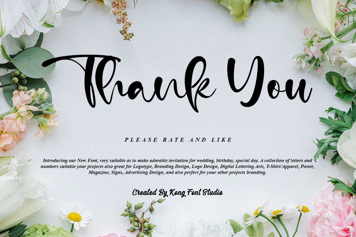 Calm Life Classy Script Font - Image 11