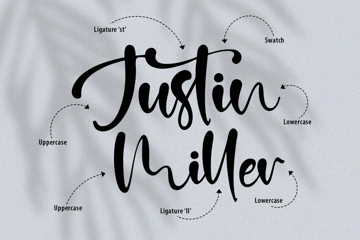 Calm Life Classy Script Font - Image 3