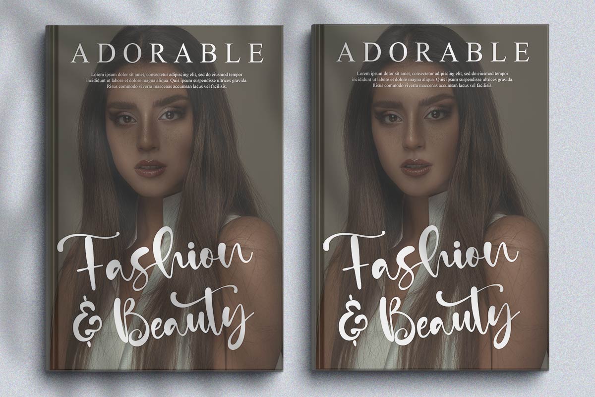 Calm Life Classy Script Font - Image 5