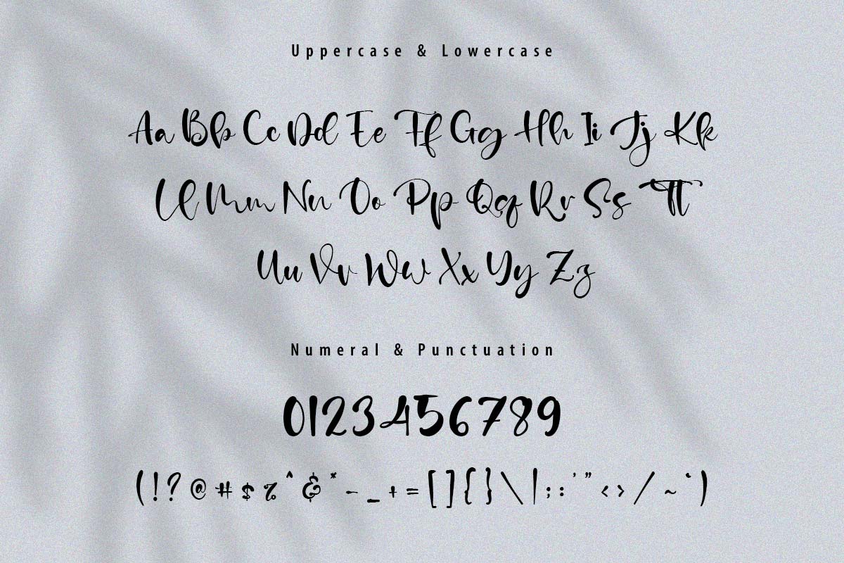 Calm Life Classy Script Font - Image 9