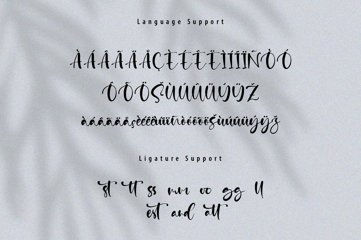 Calm Life Classy Script Font - Image 10