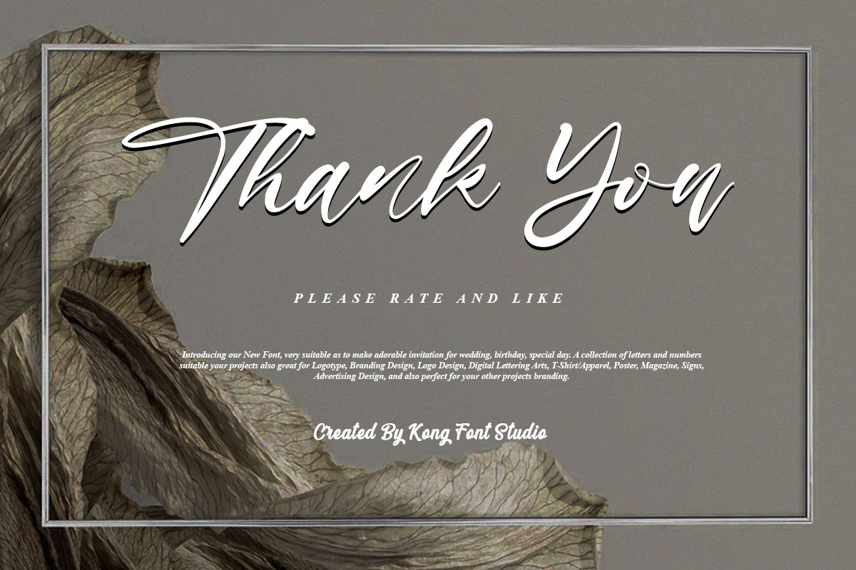 Daniel Jamie Modern Script Font - Image 11