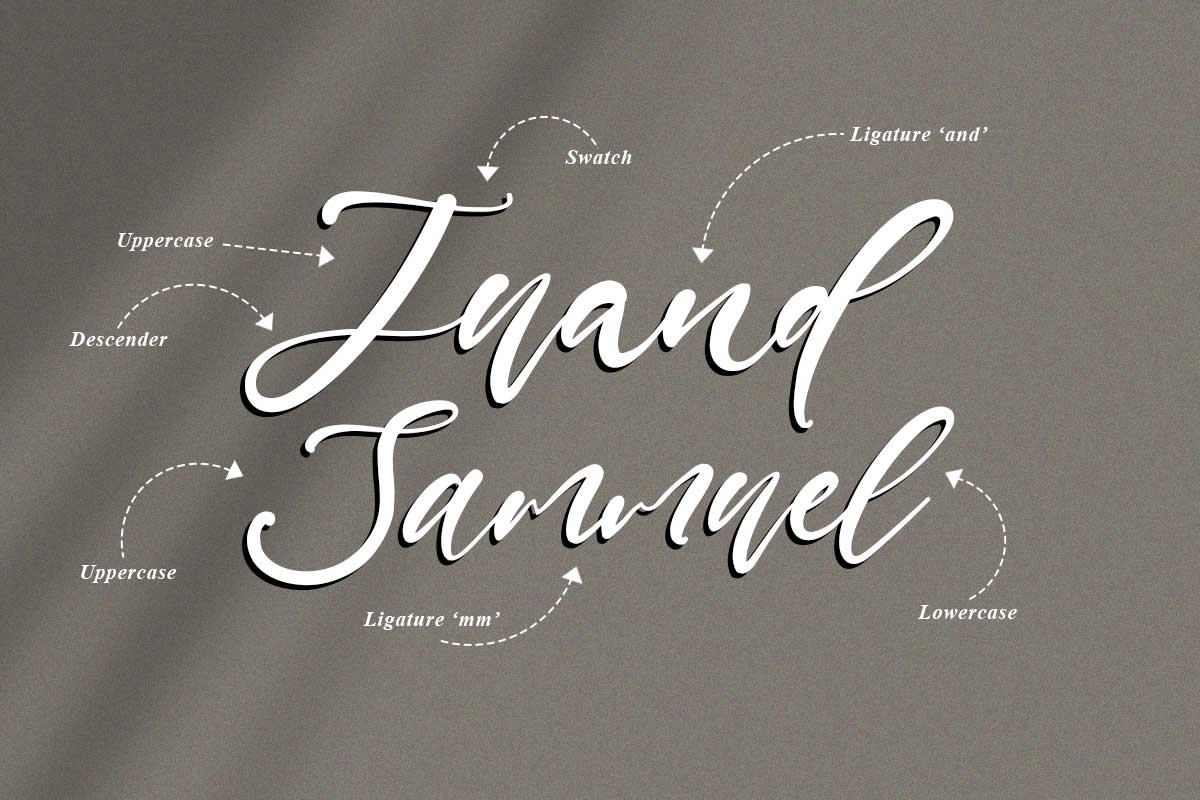 Daniel Jamie Modern Script Font - Image 3