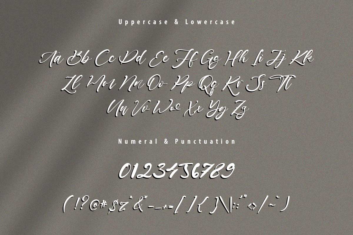 Daniel Jamie Modern Script Font - Image 9