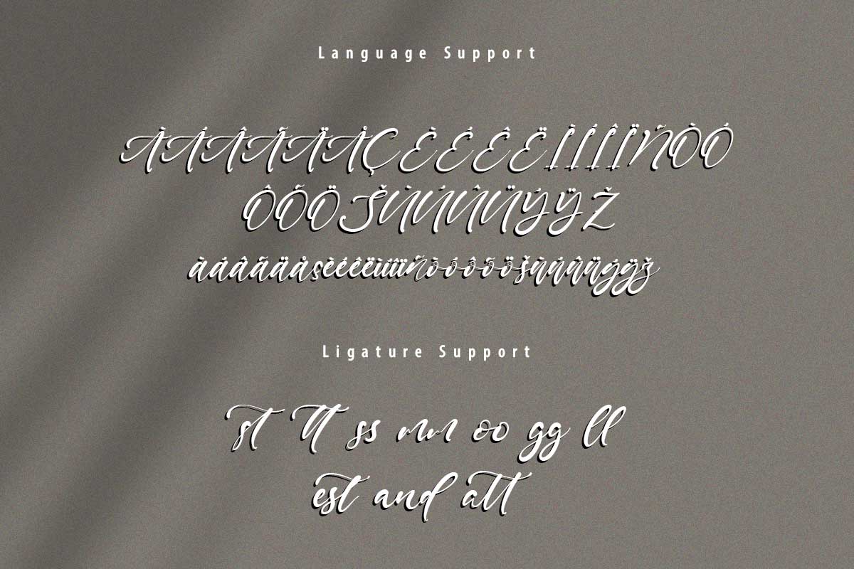 Daniel Jamie Modern Script Font - Image 10