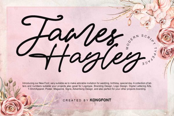 James Hayley Script Font - Image 2