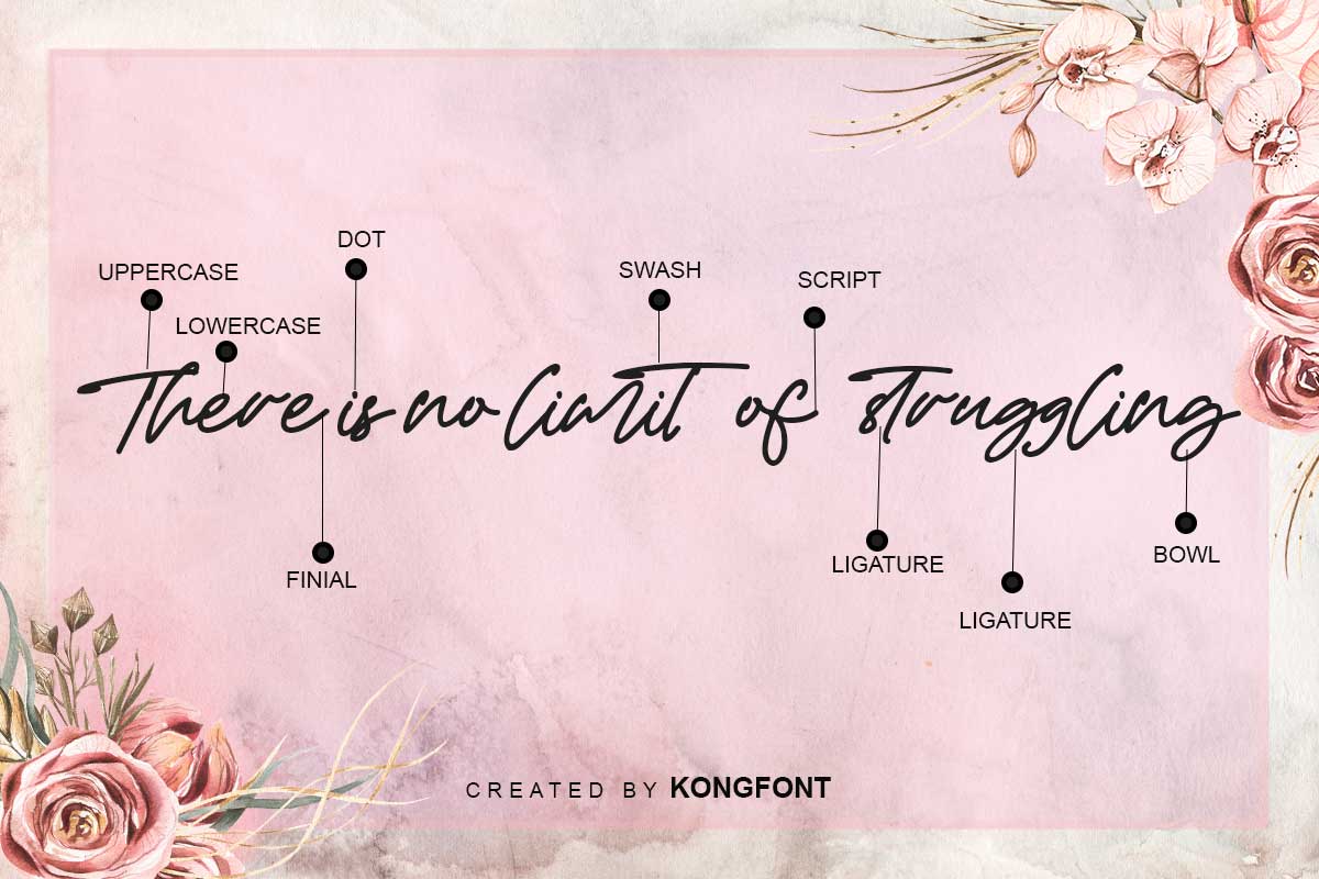 James Hayley Script Font - Image 3