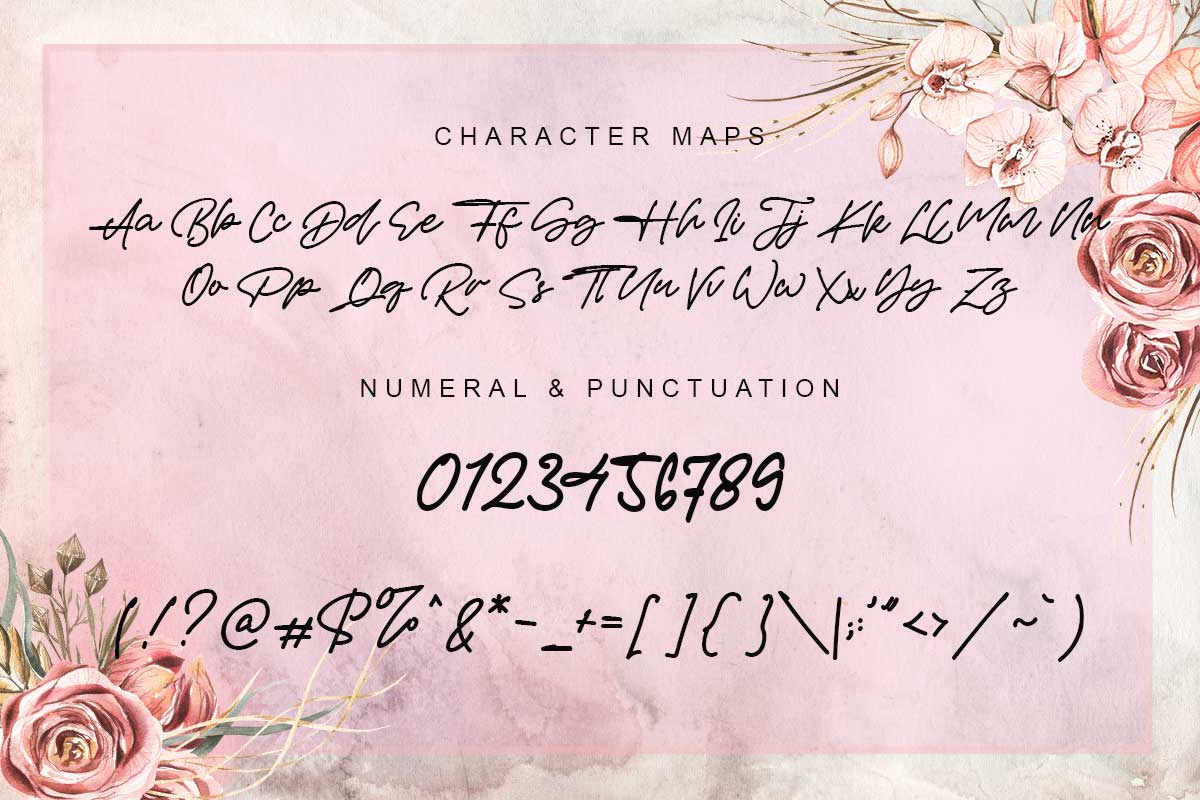 James Hayley Script Font - Image 9