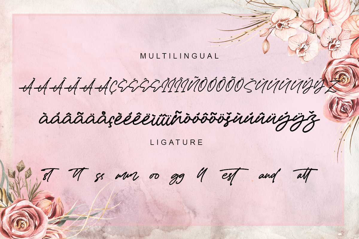 James Hayley Script Font - Image 10