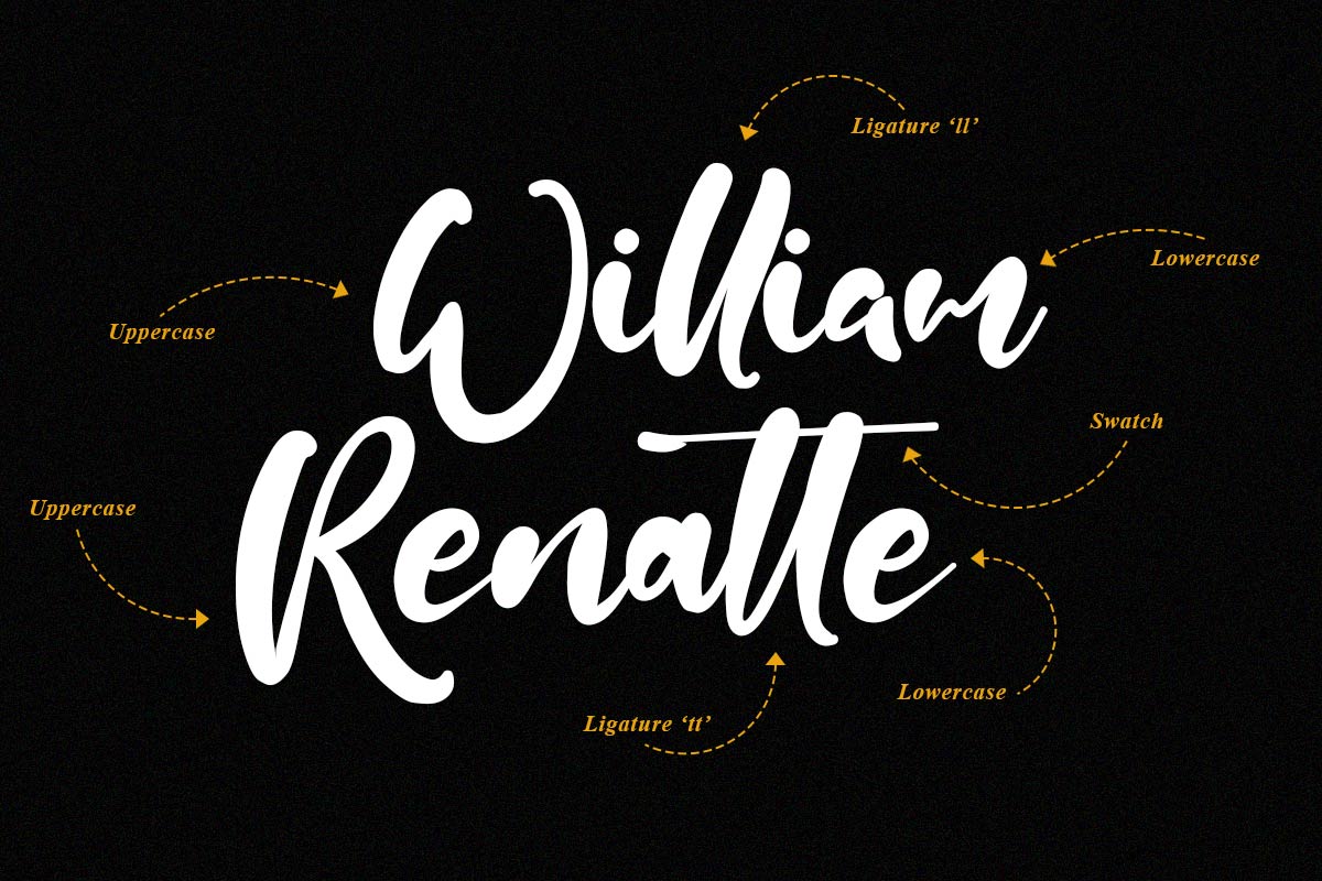 Julia Antonio Script Font - Image 3