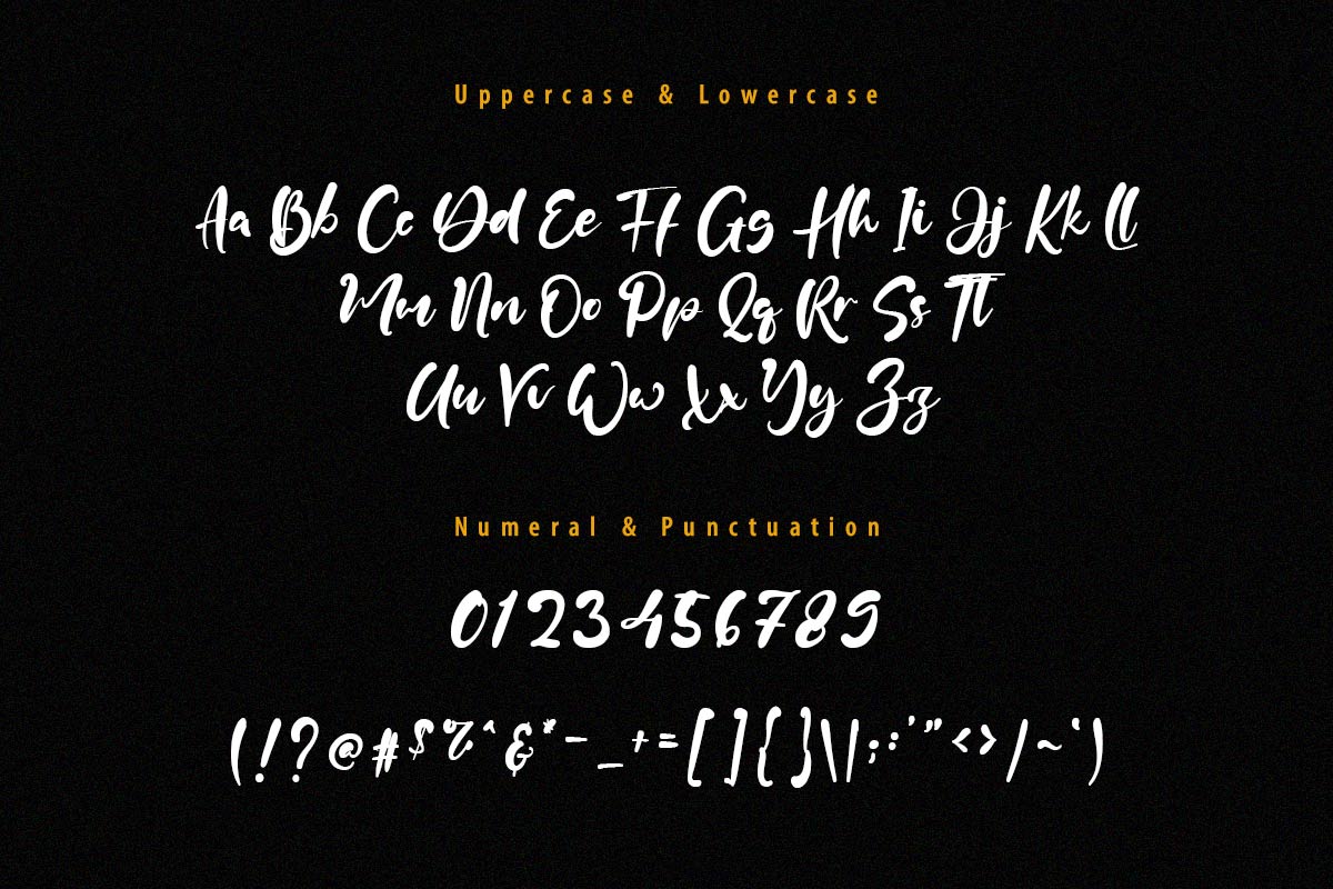 Julia Antonio Script Font - Image 9