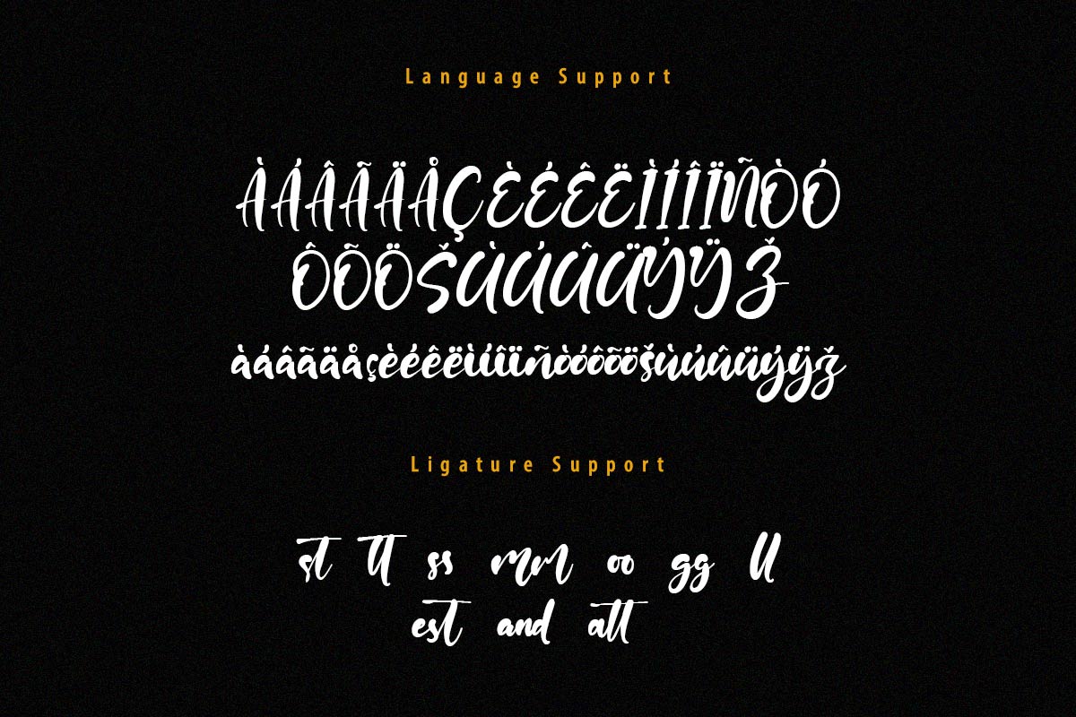 Julia Antonio Script Font - Image 10