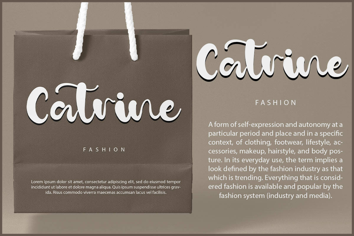 Karen Jane Modern Script Font - Image 6