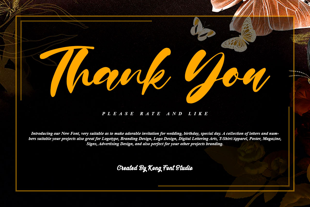 Paul Nora Handwritten Font - Image 11