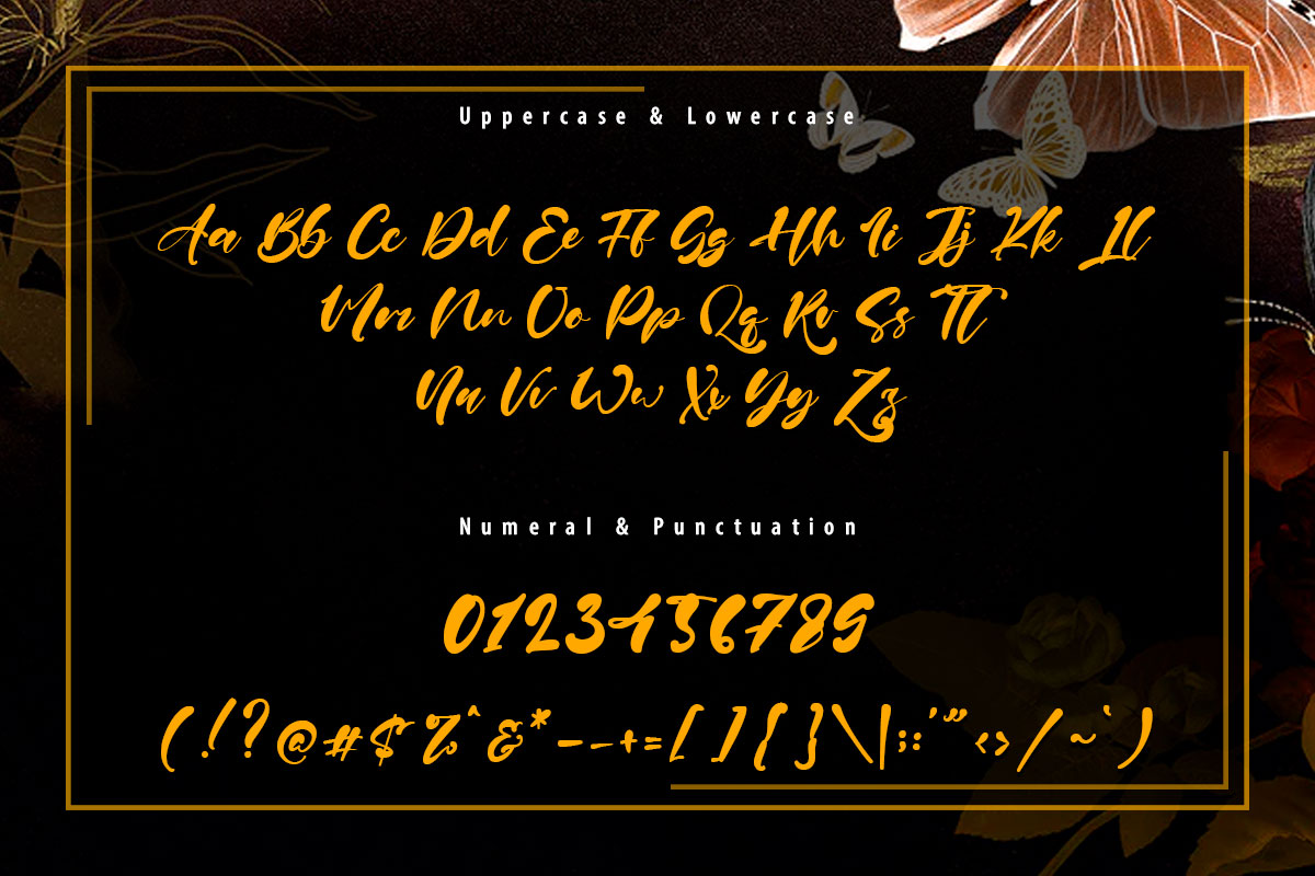 Paul Nora Handwritten Font - Image 9