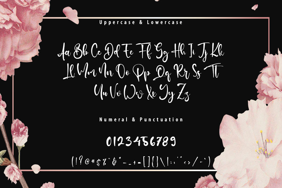 Sally Nelson Handwriting Font - Image 9