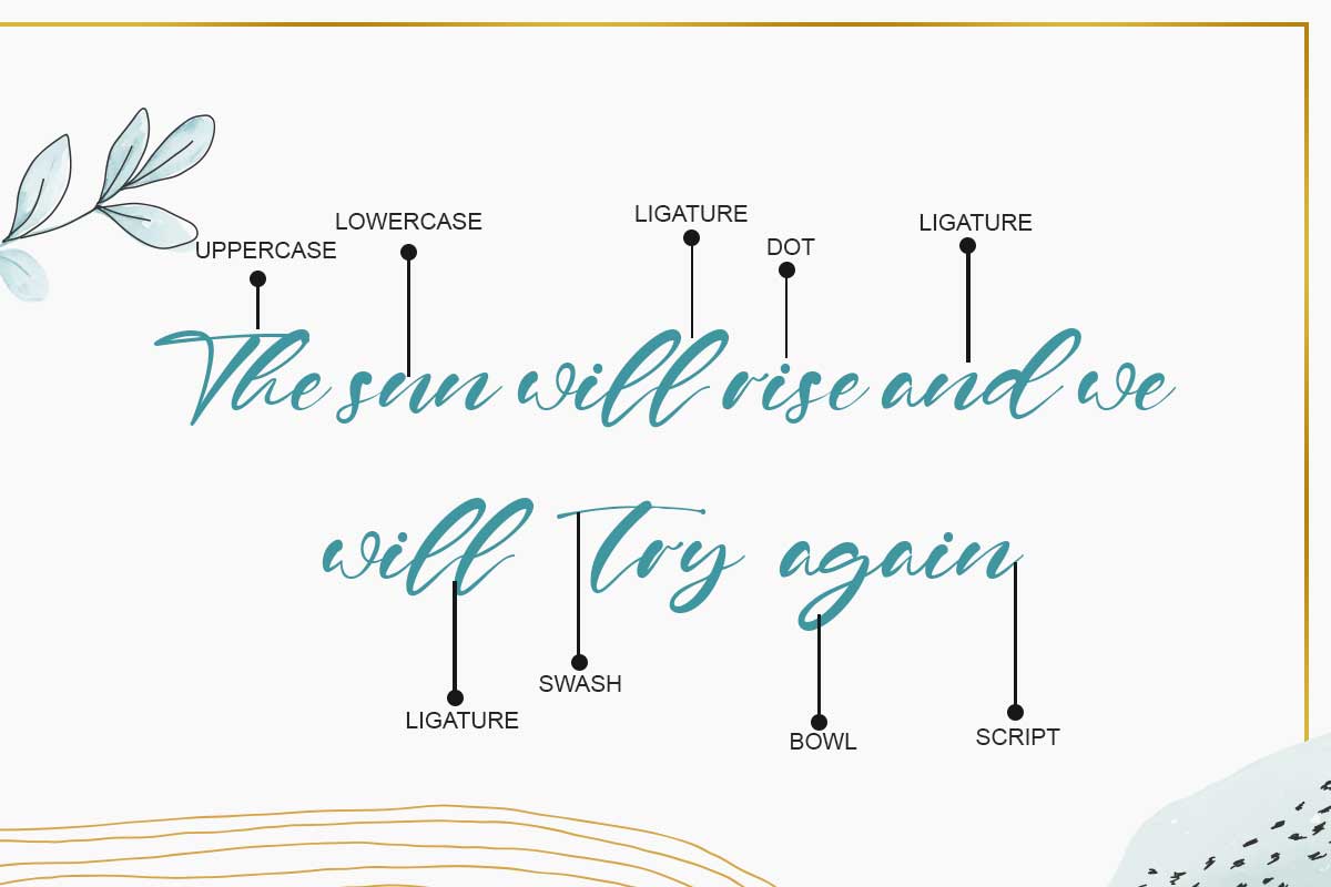 Sandra Rolley Elegant Script Font - Image 3