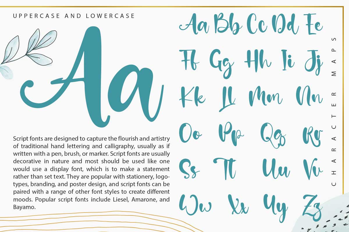 Sandra Rolley Elegant Script Font - Image 9